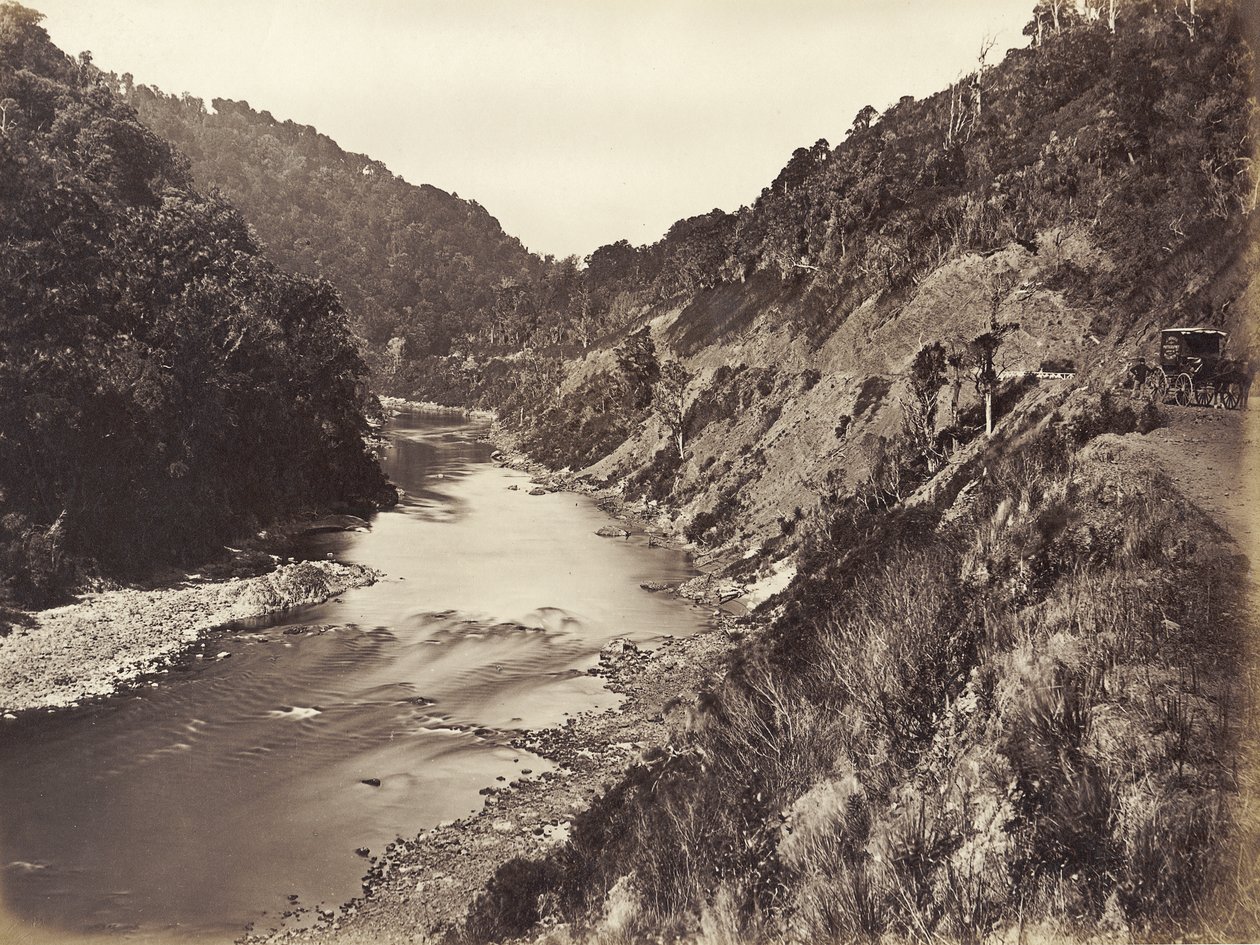 Gola di Manawatu a 1 miglio dal ponte, 1878 da James Bragge