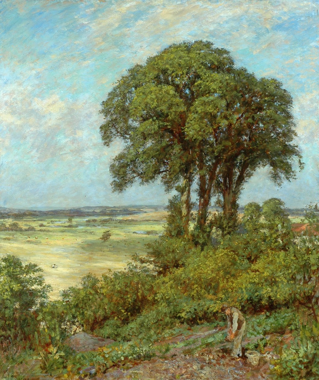 Paesaggio nel Sussex da James Charles