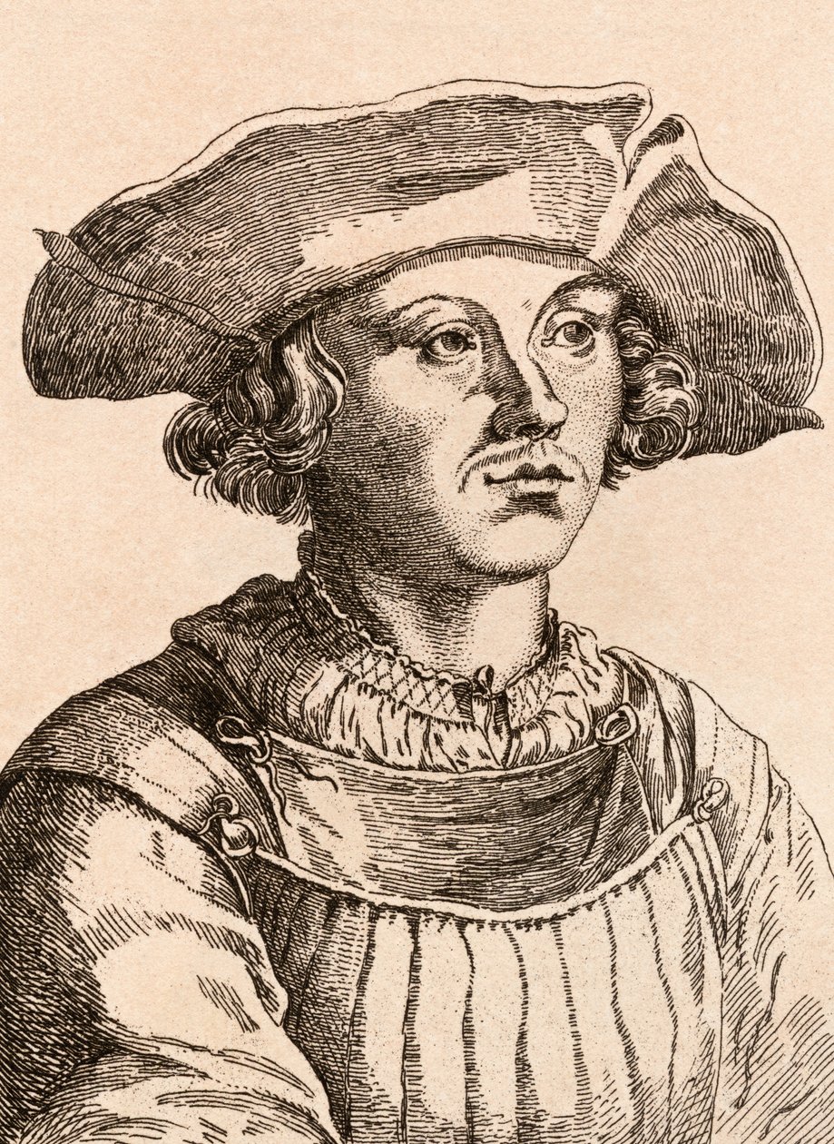 Bernard van Orley, illustrazione da 