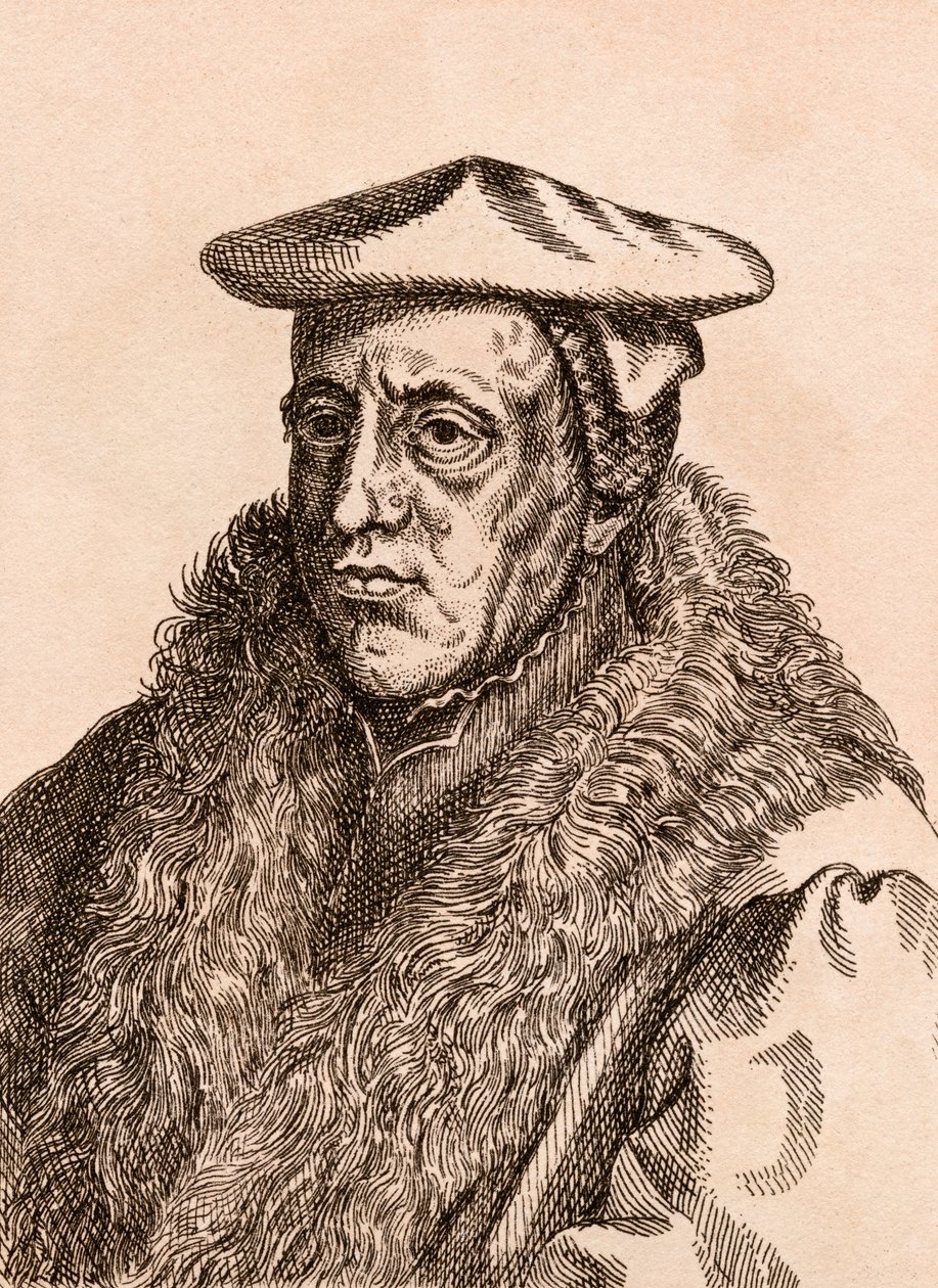 Jan van Scorel, illustrazione da 