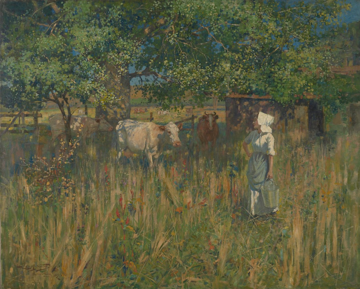 Tess da James McLachlan Nairn