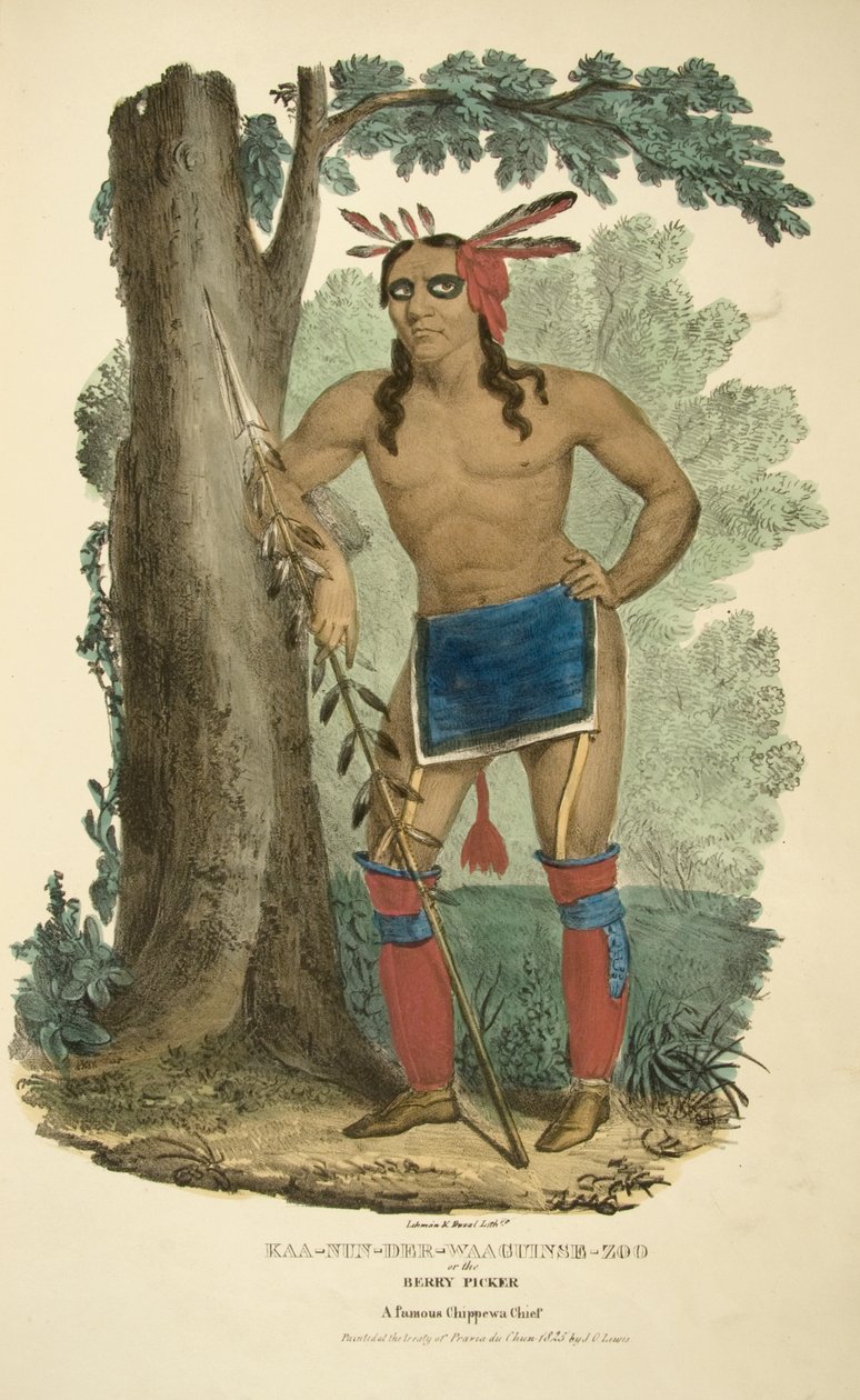 Kaa-nun-der-waaguinse-zoo o il Raccoglitore di bacche da James Otto Lewis
