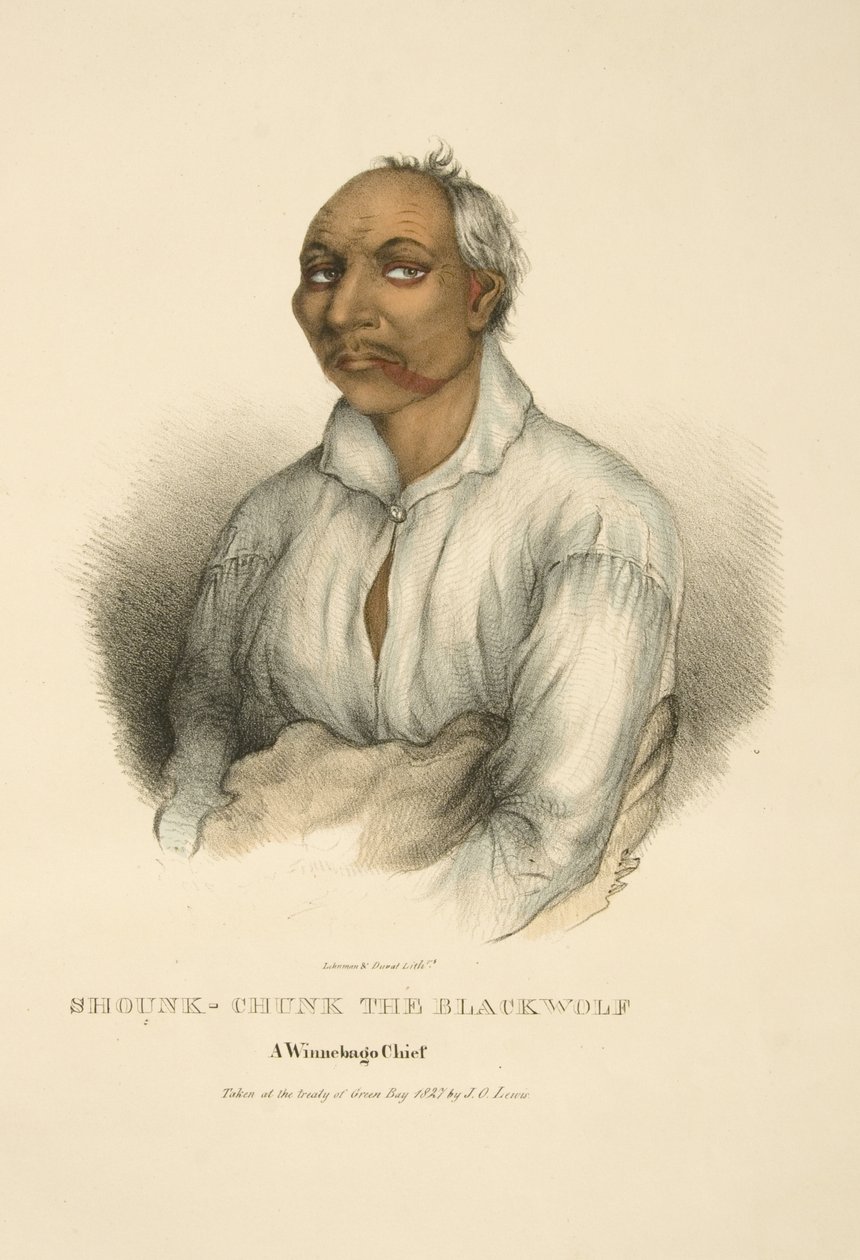 Shounk-chunk Il Lupo Nero da James Otto Lewis
