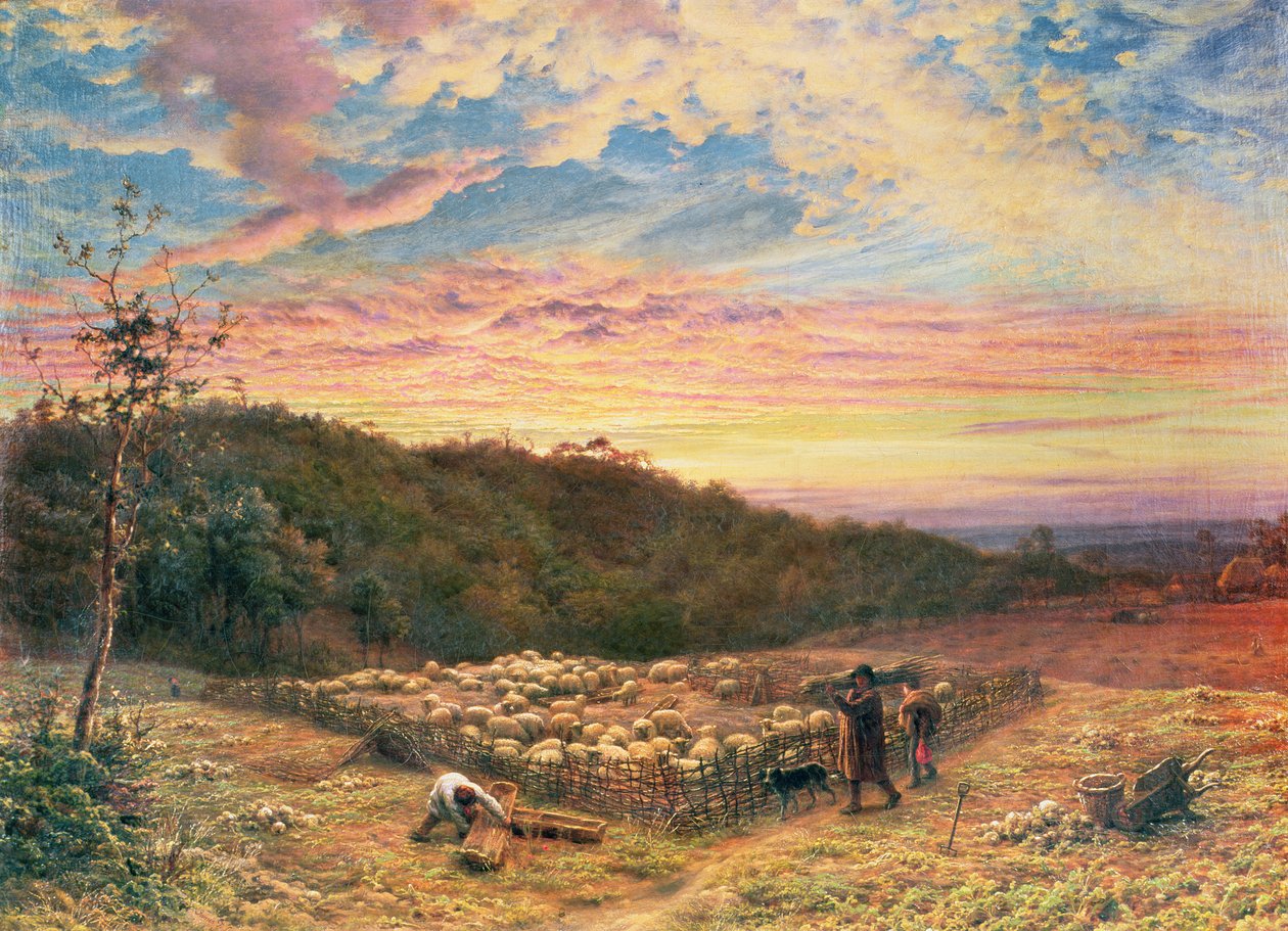 Il recinto delle pecore - Mattina d