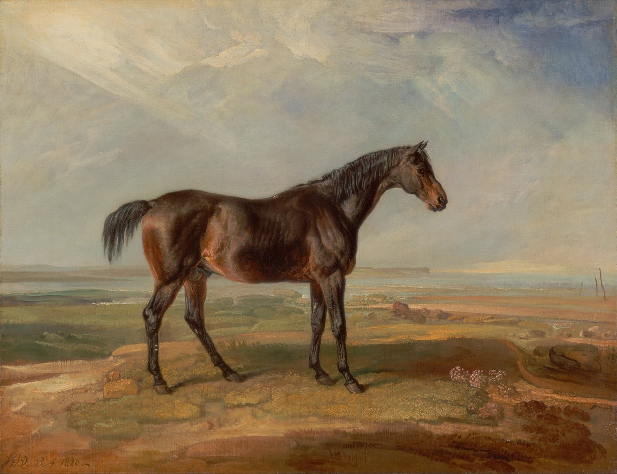Dr. Syntax, un cavallo da corsa baio, in piedi in un paesaggio costiero, con un estuario oltre da James Ward