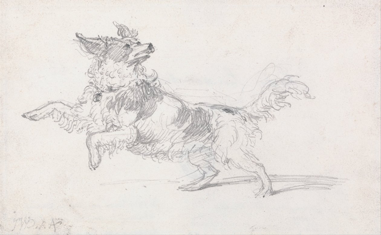 Il cane di Lady Londonderry da James Ward