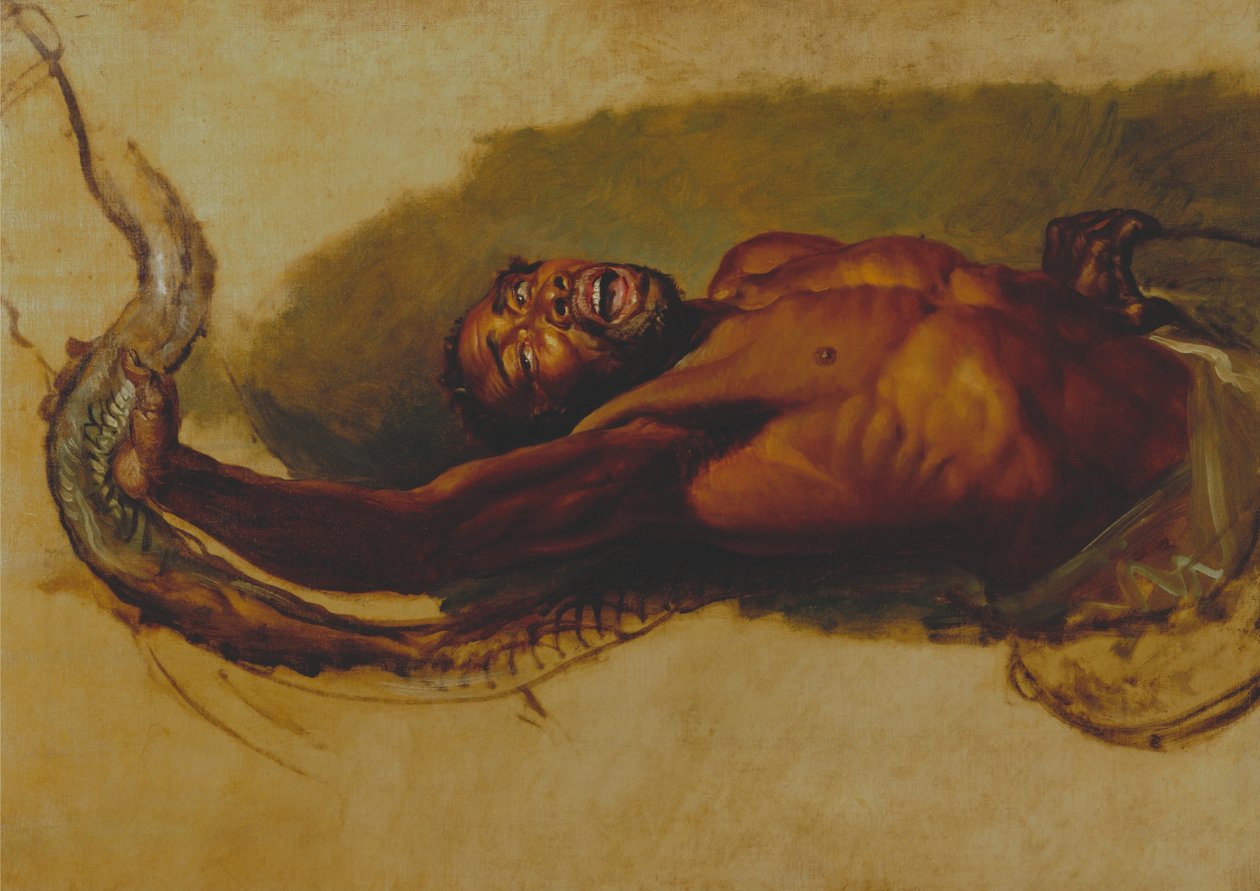 Uomo che lotta con un boa constrictor, studio per Liboya Serpent che cattura la sua preda da James Ward