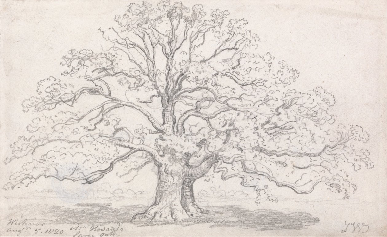 La grande quercia del signor Howard, 5 agosto 1820 da James Ward