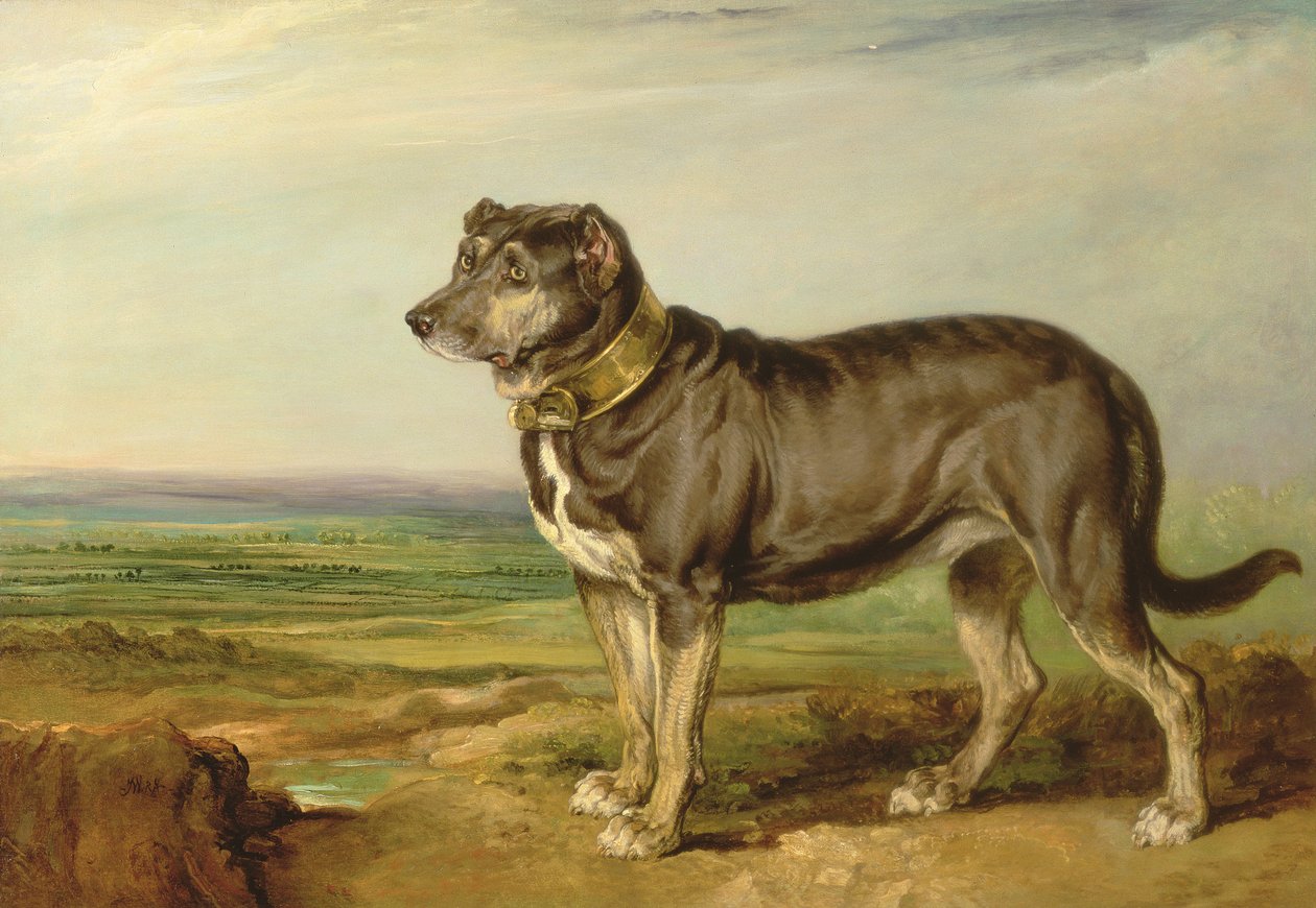 Ritratto di `Vic