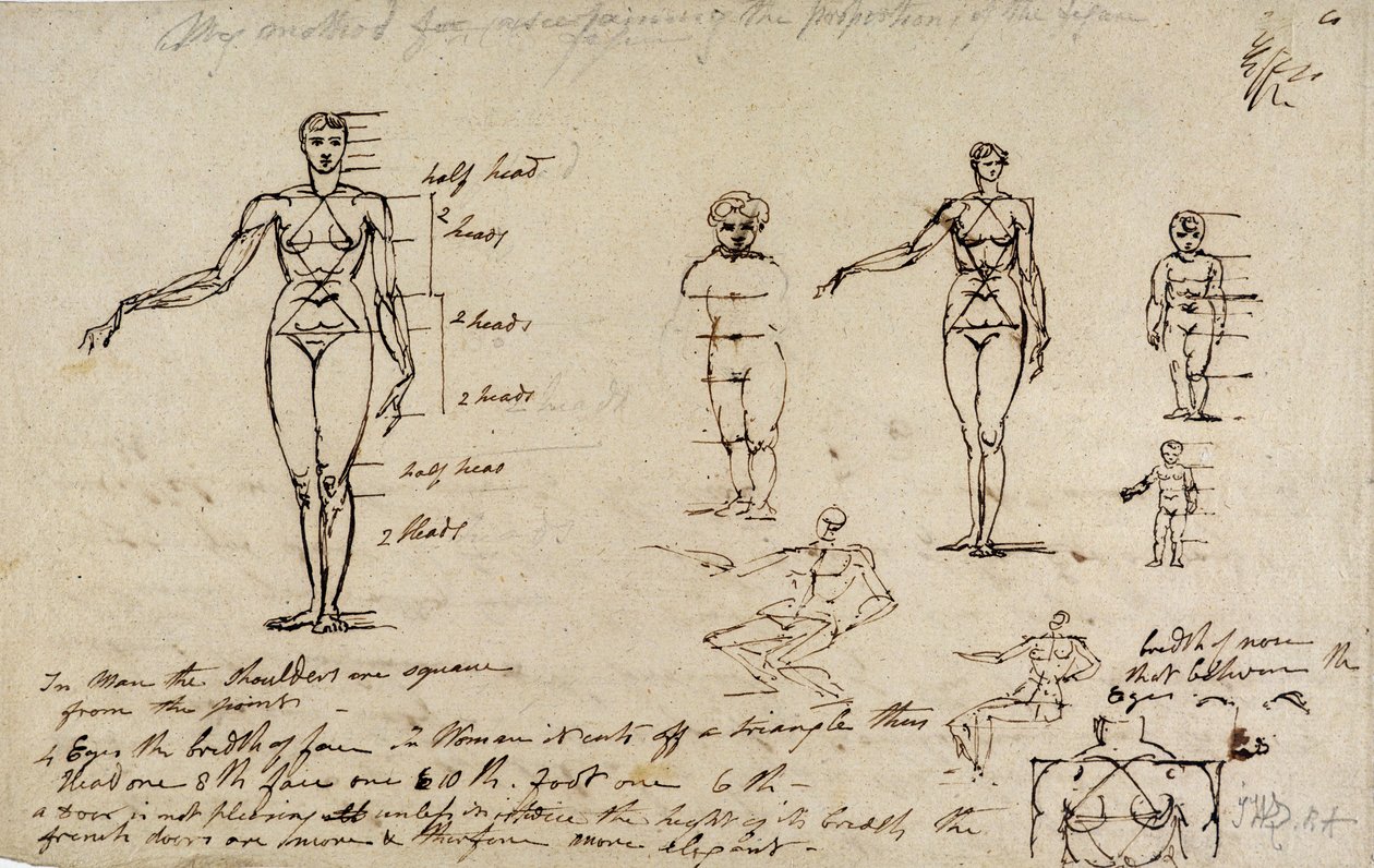 Studi di anatomia con misurazioni e scrittura da James Ward