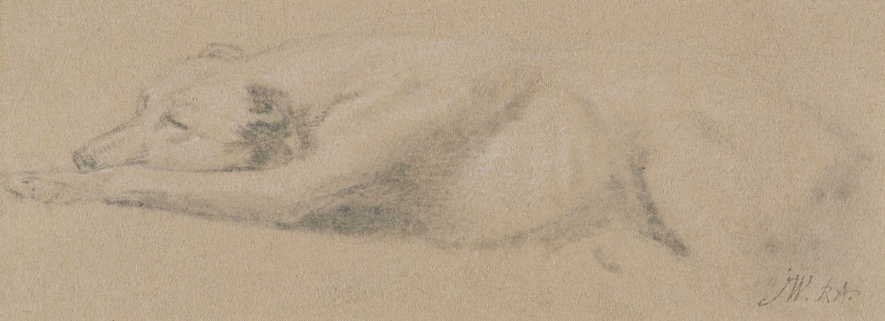 Studio di un cane che dorme da James Ward