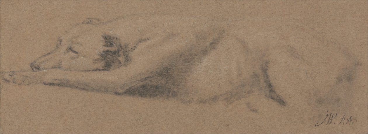 Studio di un Cane Addormentato da James Ward