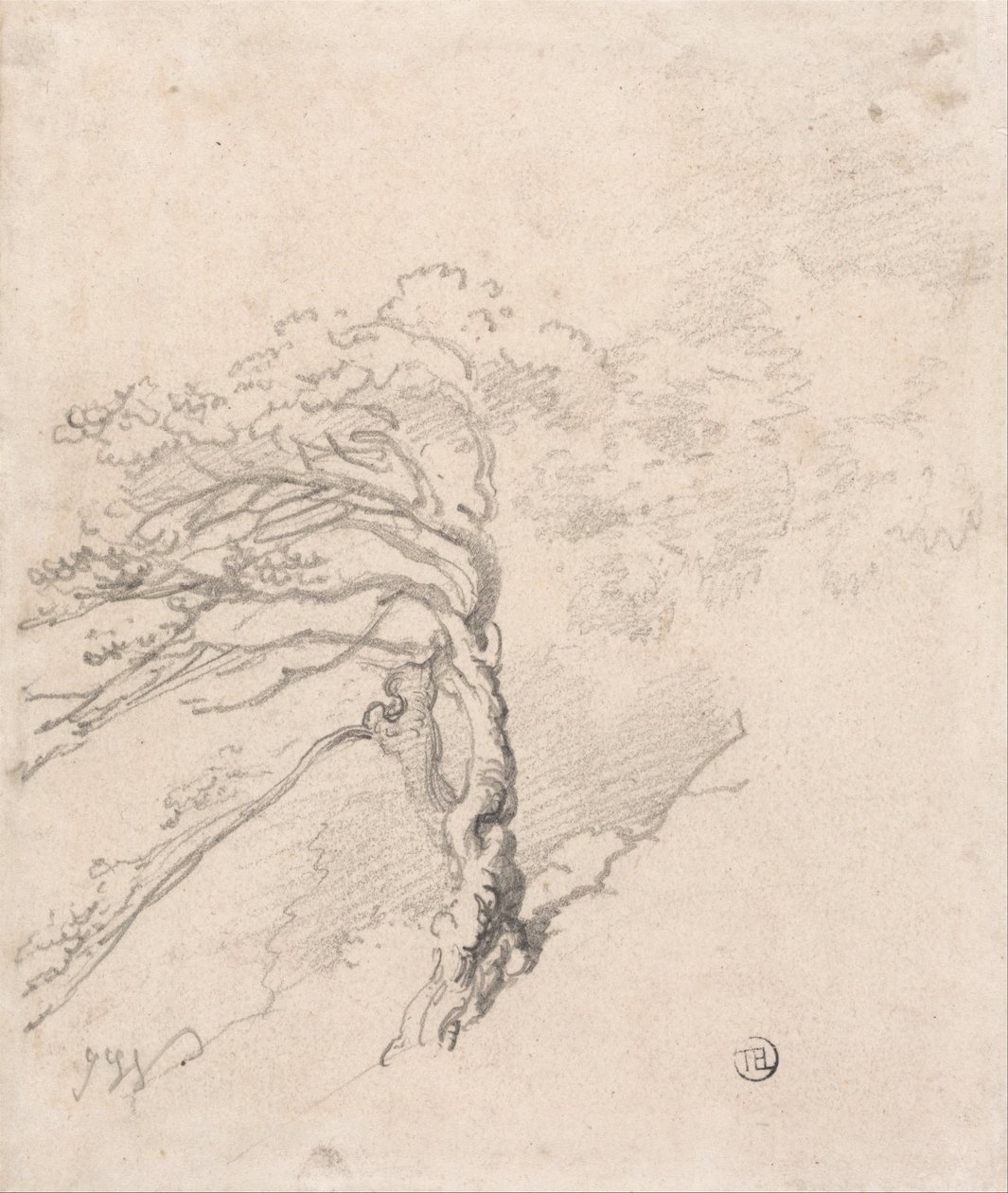 Albero su un pendio da James Ward
