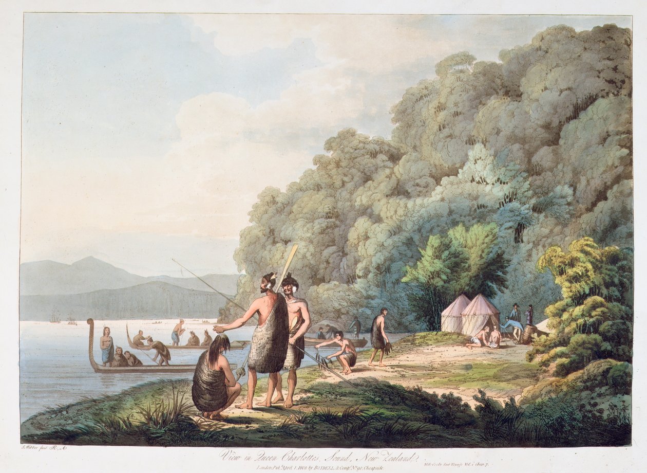 Veduta di Queen Charlottes Sound, Nuova Zelanda, da Views in the South Seas, 1809 da James Webber