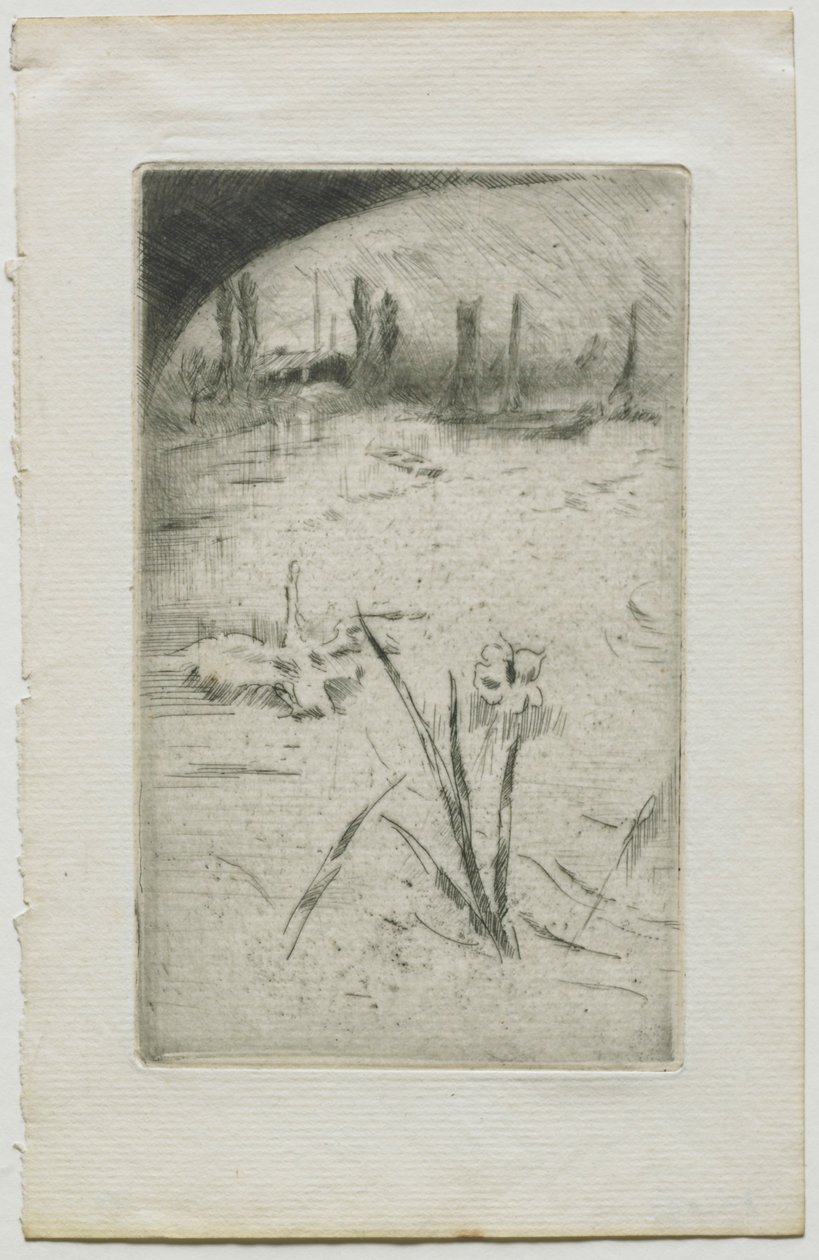 Cigno e iris, 1883 da James Abbott McNeill Whistler