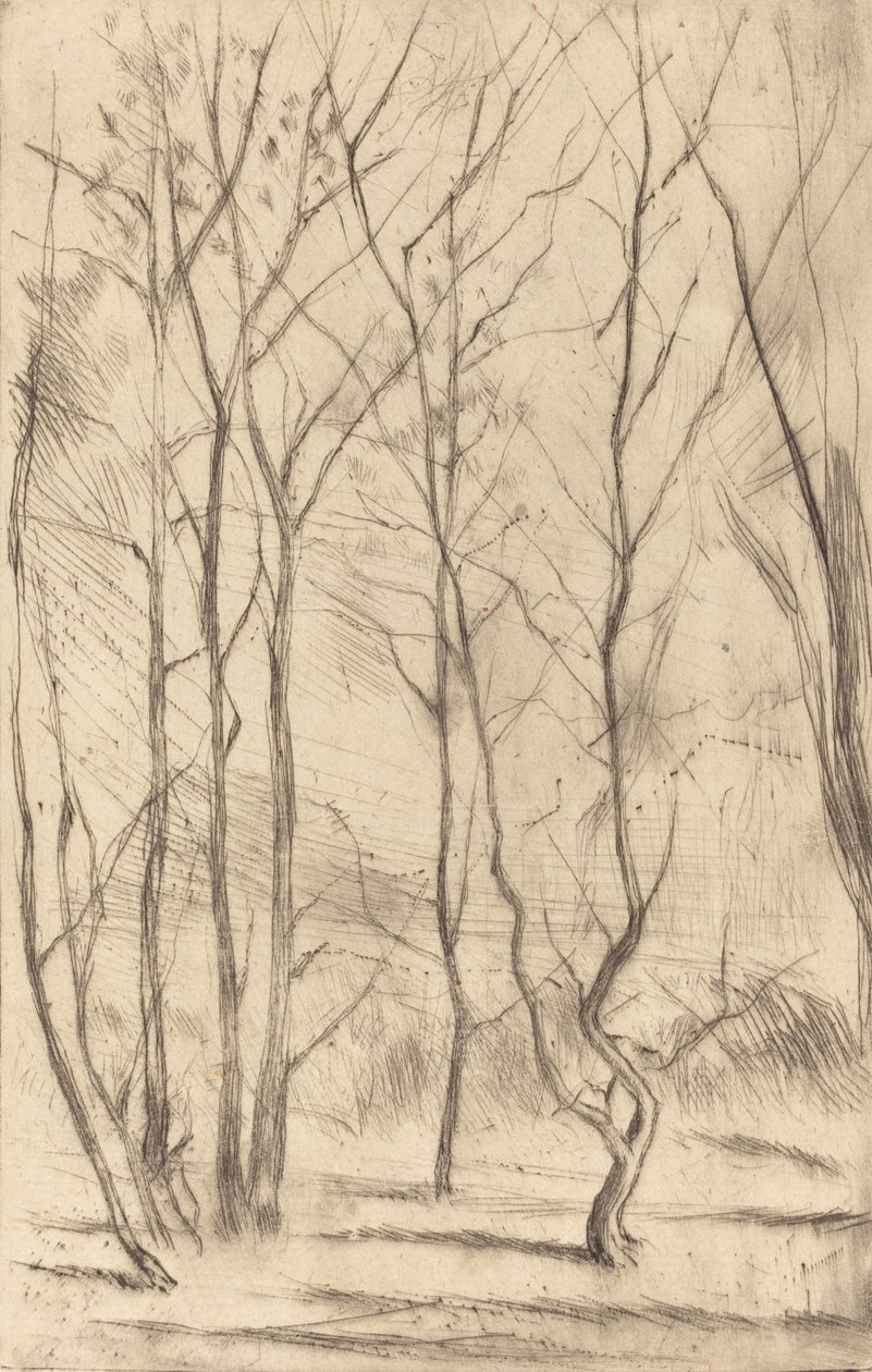 Il Bosco della Diga da James Abbott McNeill Whistler