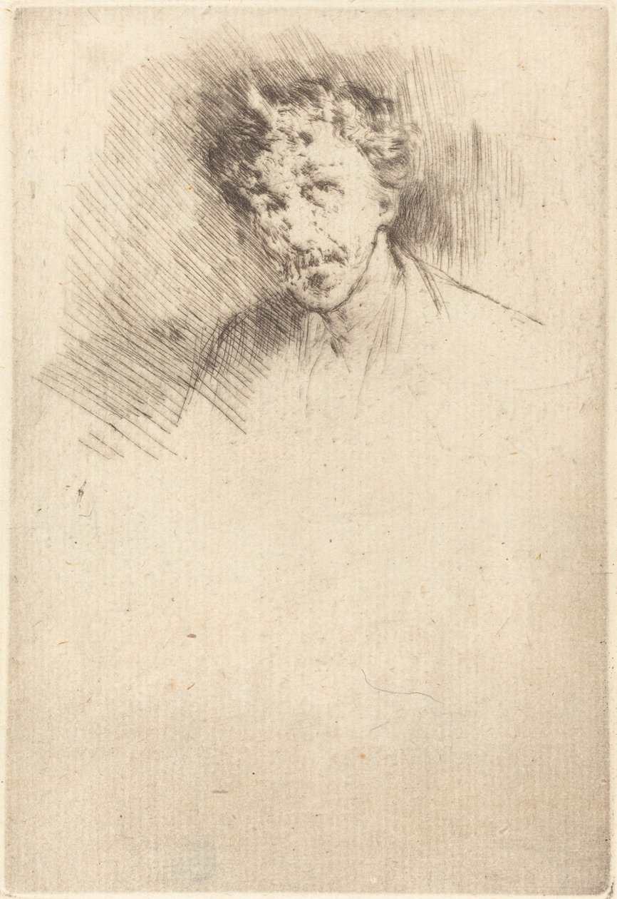 Whistler con il ciuffo bianco da James Abbott McNeill Whistler