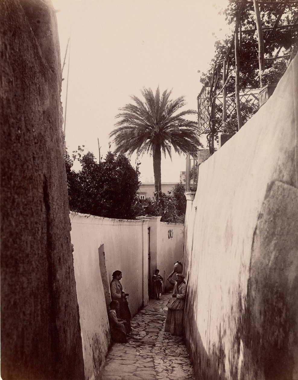 Capri da James Anderson