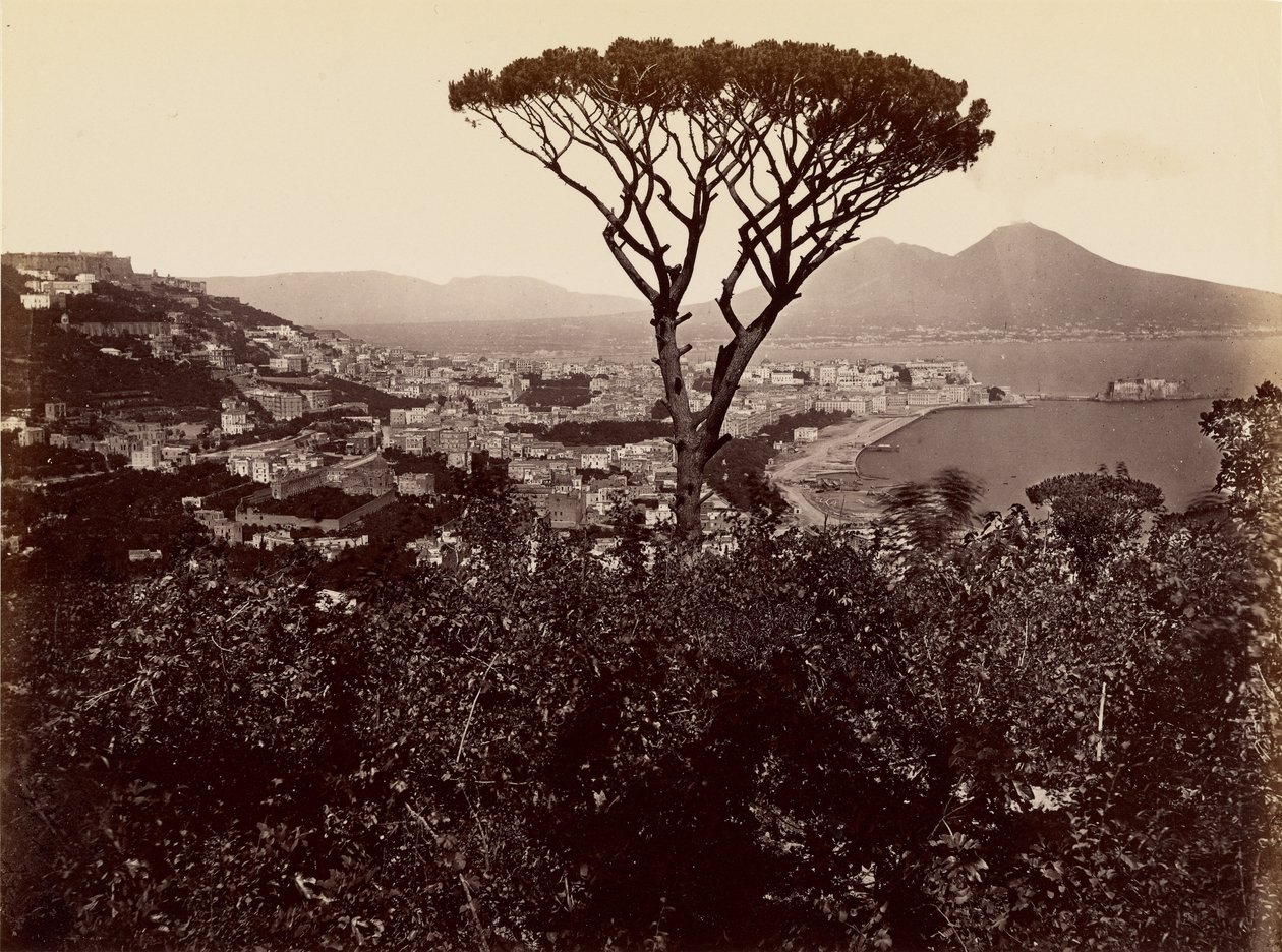 Panorama di Napoli da James Anderson