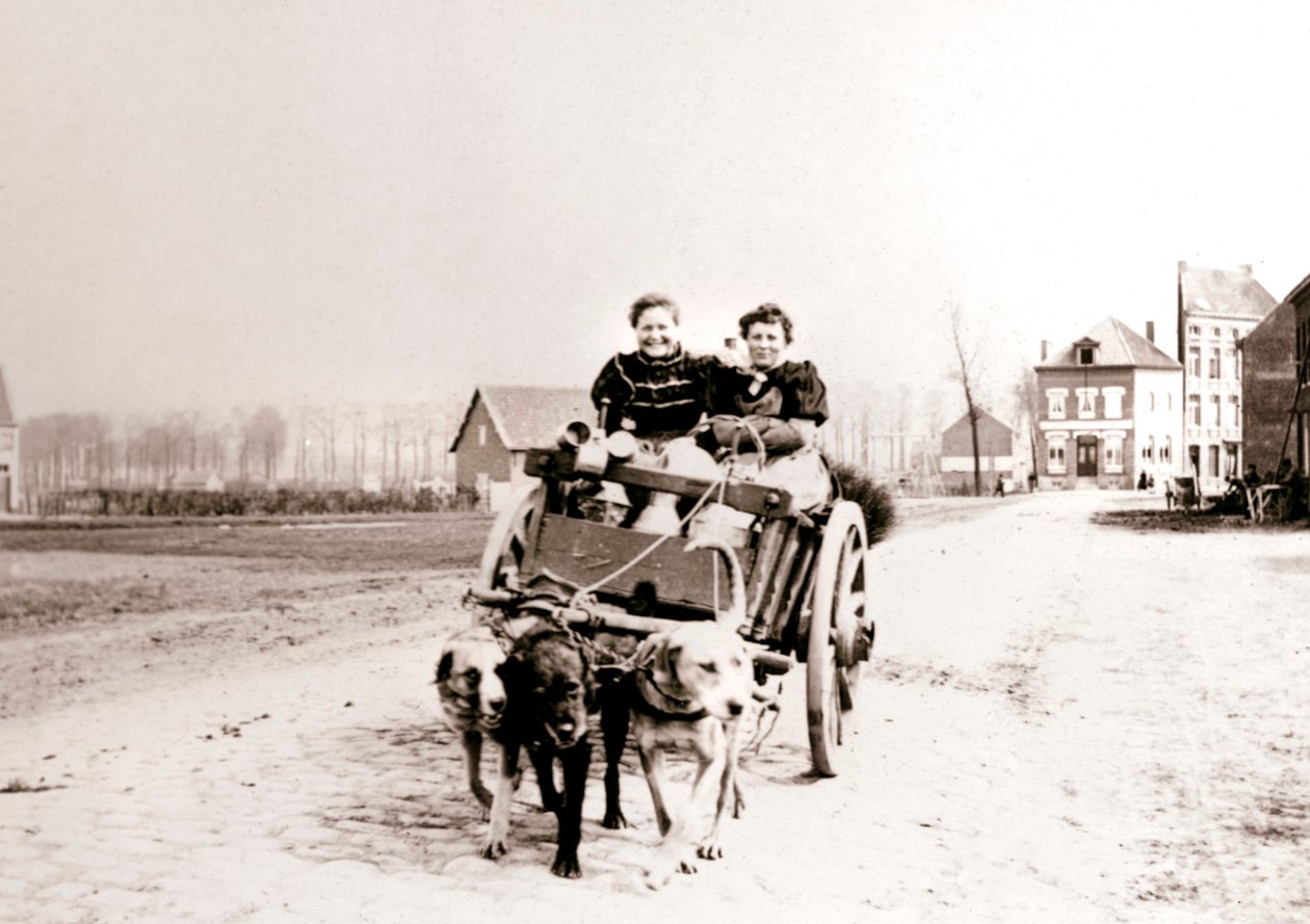 Cani che tirano donne su un carro, Anversa da James Batkin