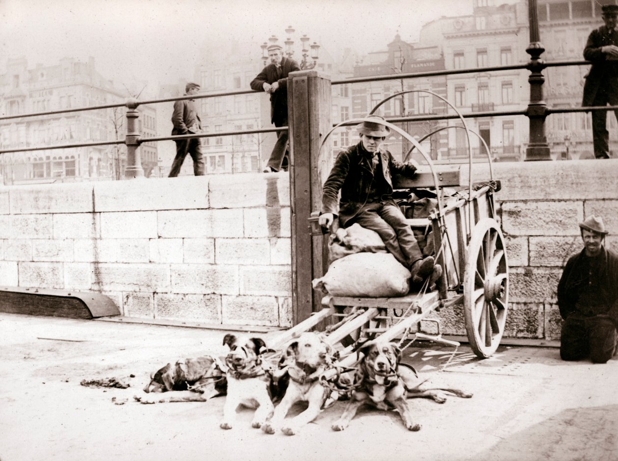 Uomo con carretto per cani, Anversa, 1898 da James Batkin