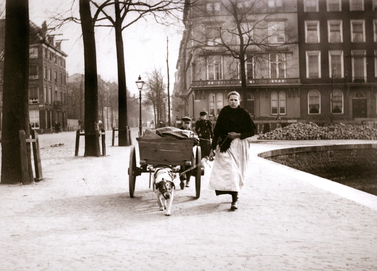Donna con carretto per cani, Rotterdam, 1898 da James Batkin