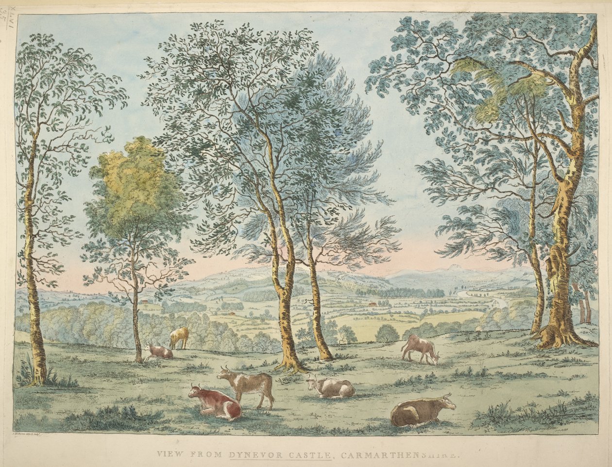 Vista dal Castello di Dynevor, Carmarthen da James Bretherton