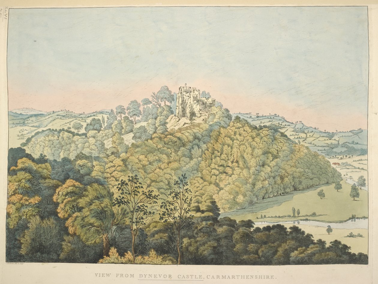 Vista dal Castello di Dynevor, con vista sul fiume Towy e Golden Grove da James Bretherton