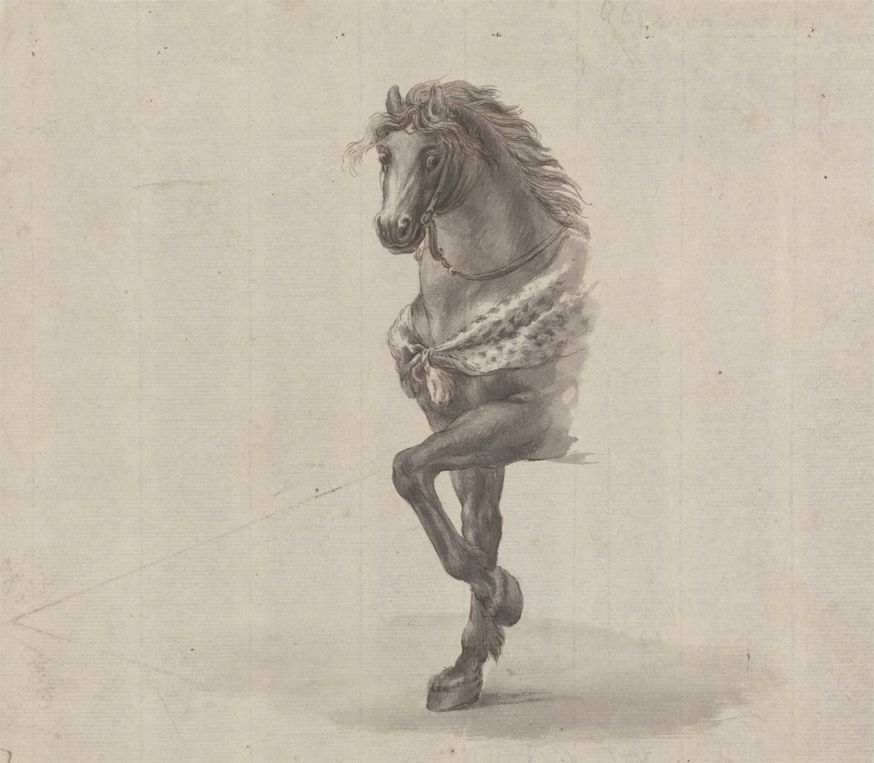 Studio del fronte di un cavallo da James Bruce