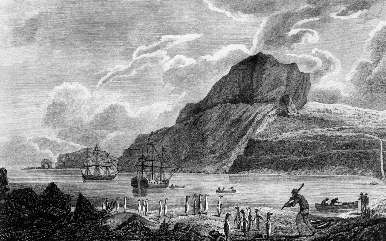 Isola Kerguelen, veduta di Christmas Bay (incisione) da James Cook