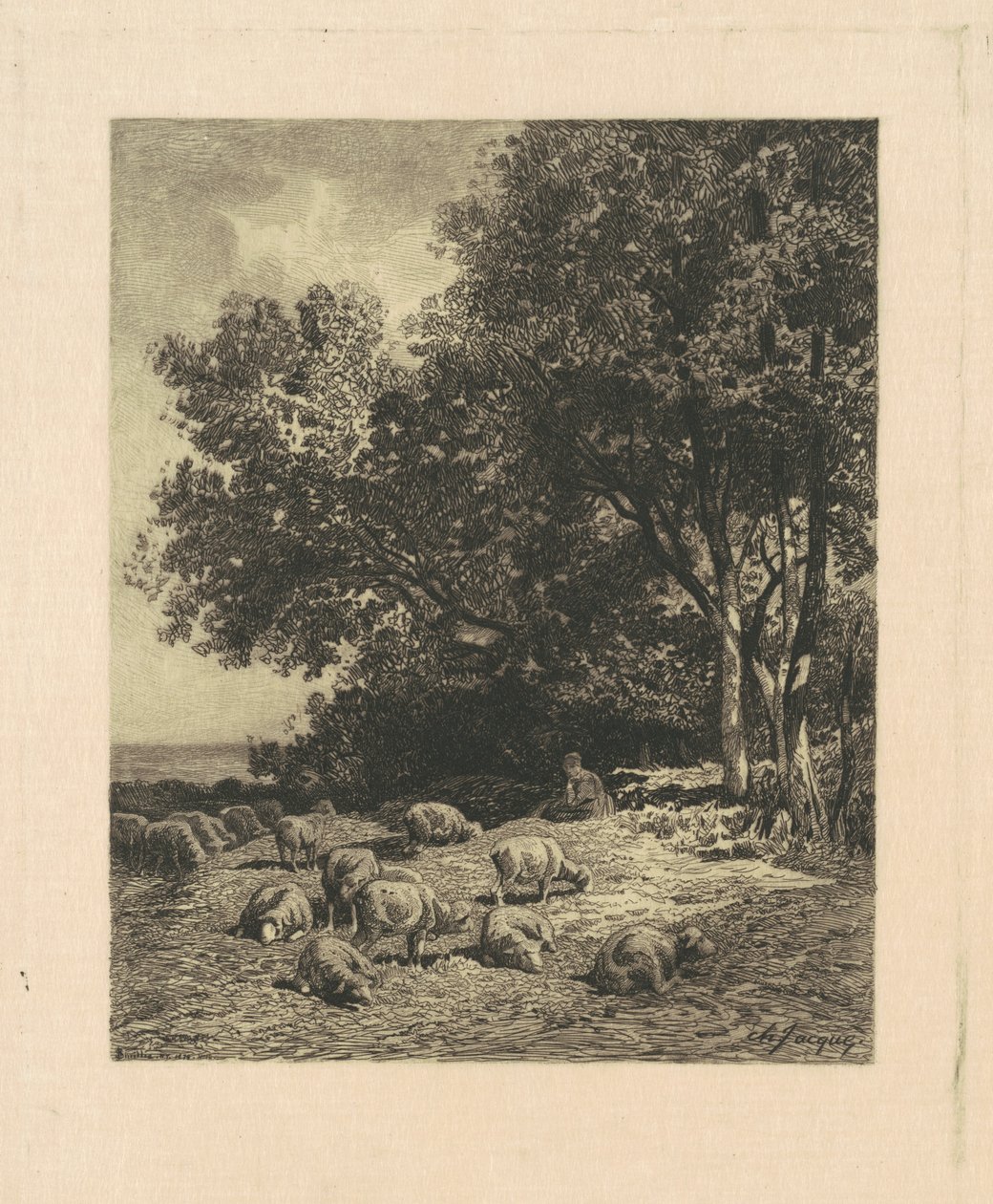Paesaggio con pecore da James David Smillie, after Charles Émile Jacque