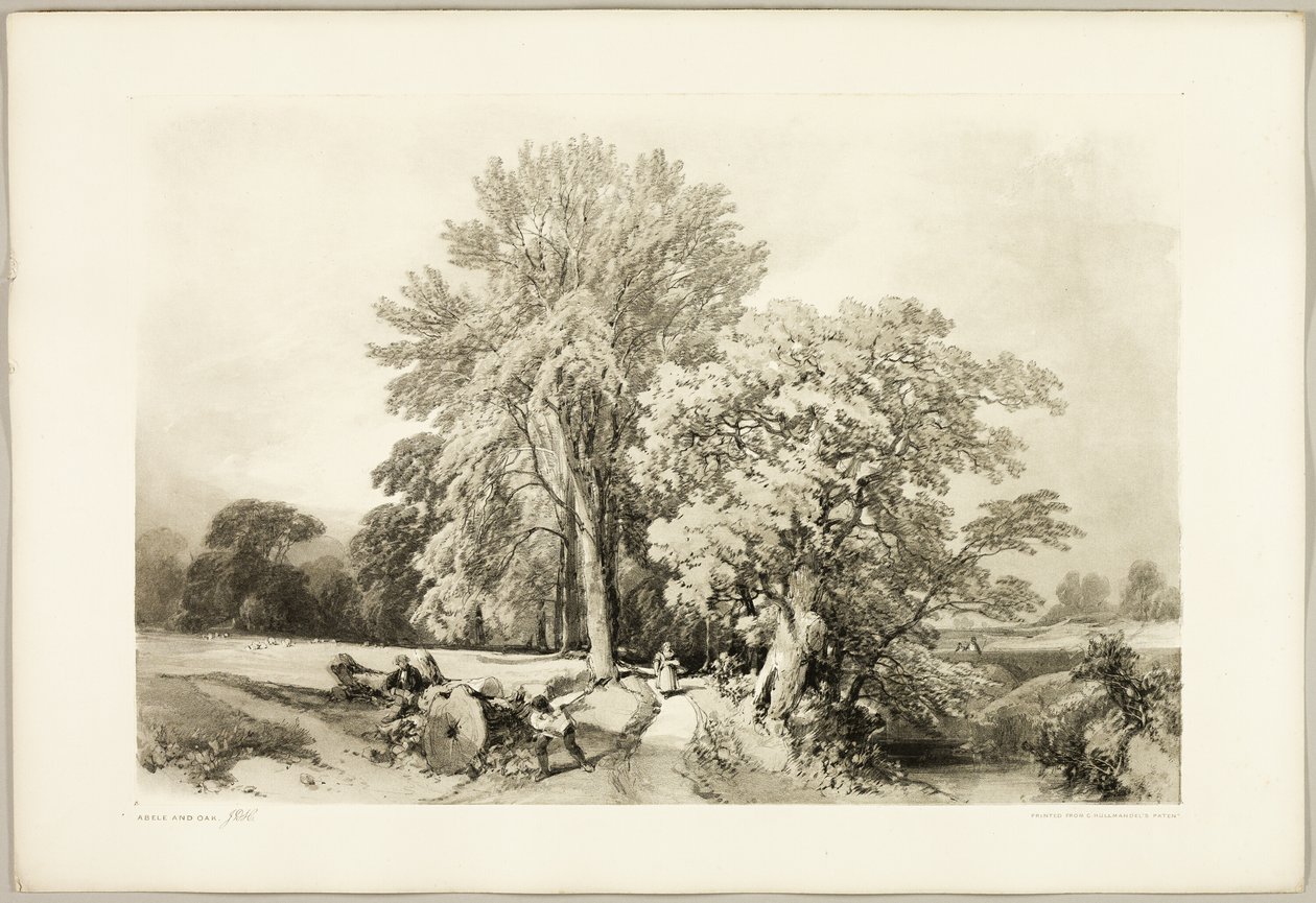 Abele e Quercia, da Il Parco e la Foresta da James Duffield Harding
