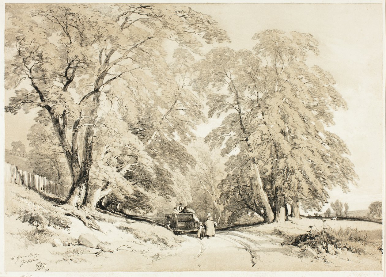 Cenere, da Il parco e la foresta da James Duffield Harding