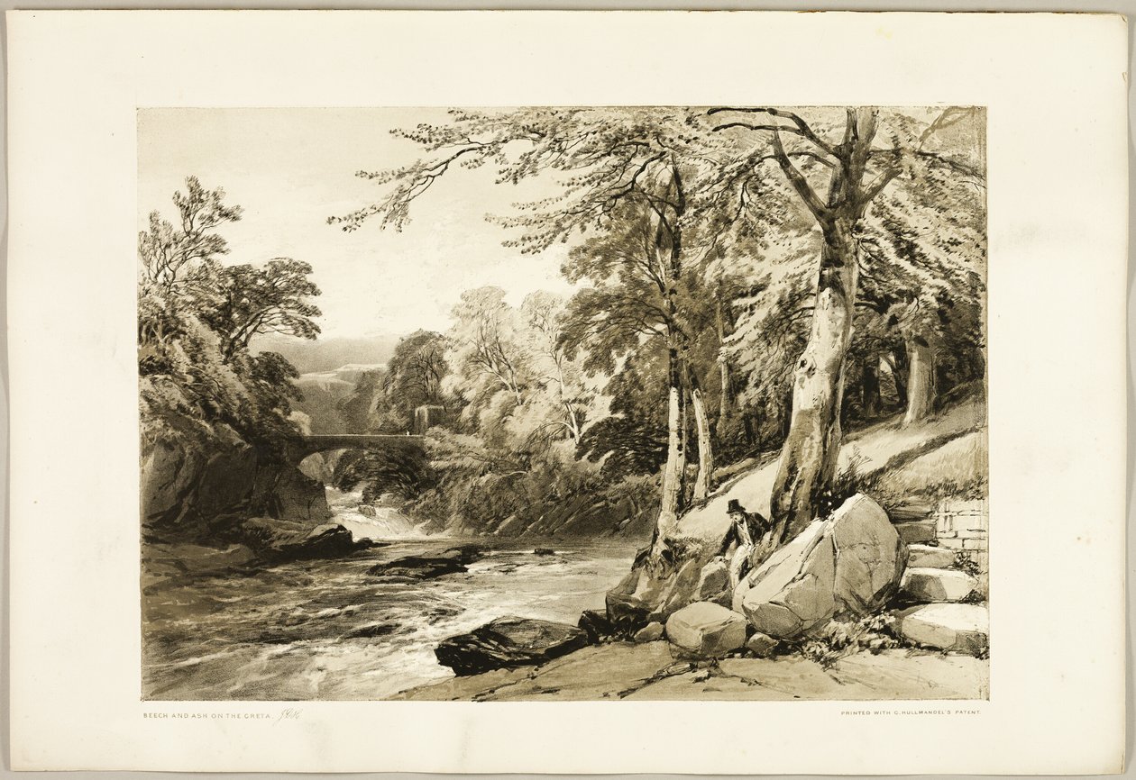 Faggio e frassino sulla Greta, da Il parco e la foresta da James Duffield Harding