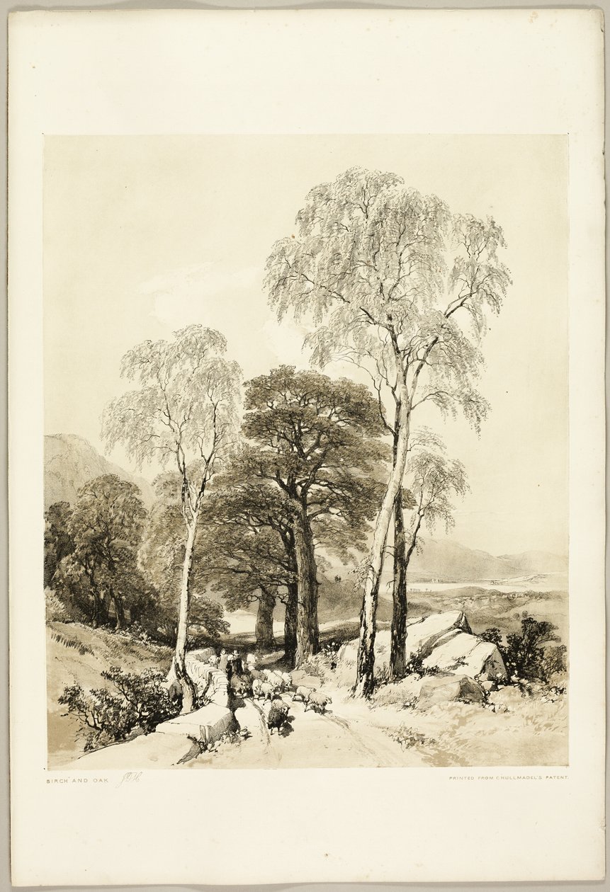 Betulla e Quercia, dal Parco e la Foresta da James Duffield Harding