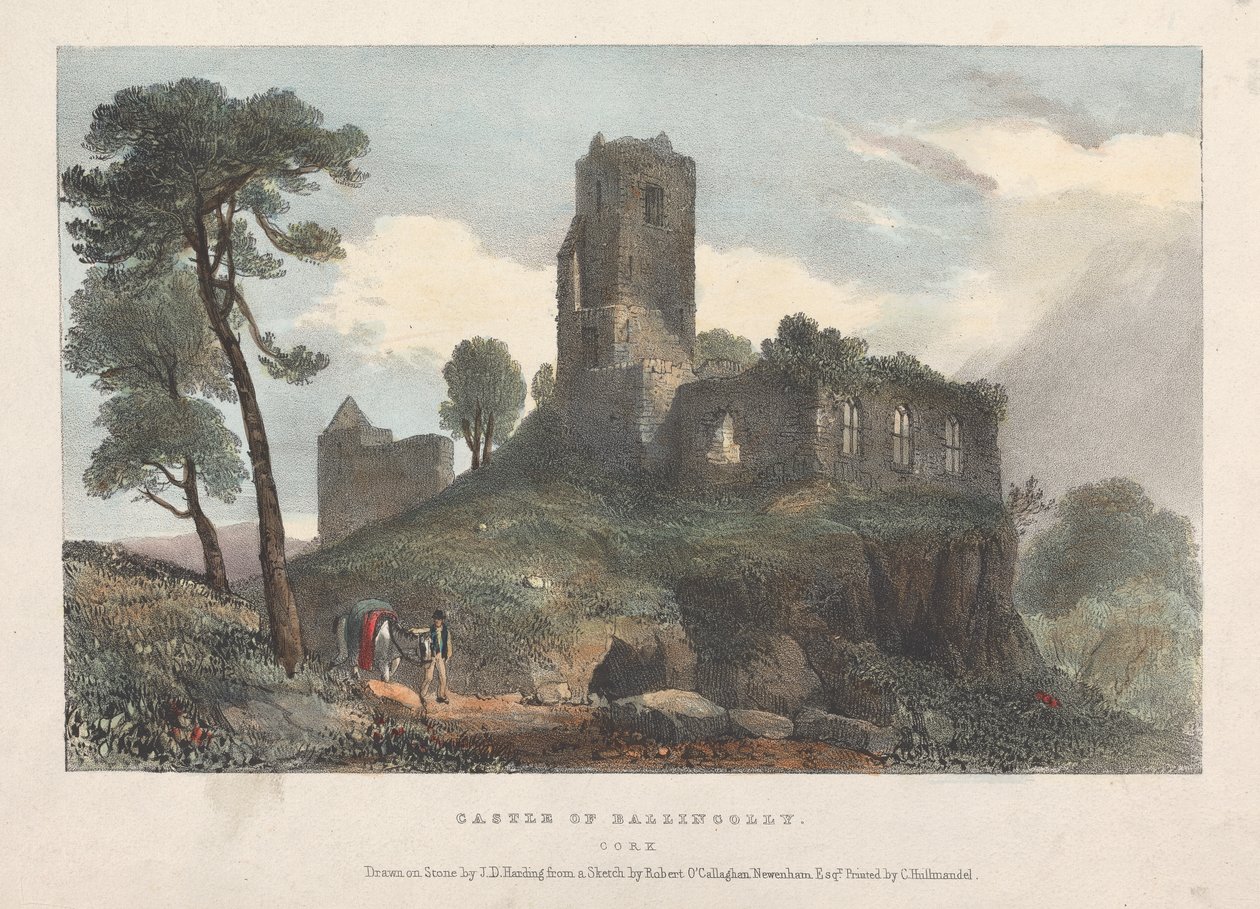 Castello di Ballincolly da James Duffield Harding