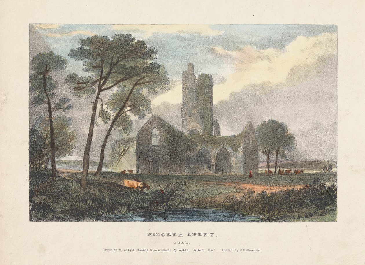 Abbazia di Kilcrea da James Duffield Harding