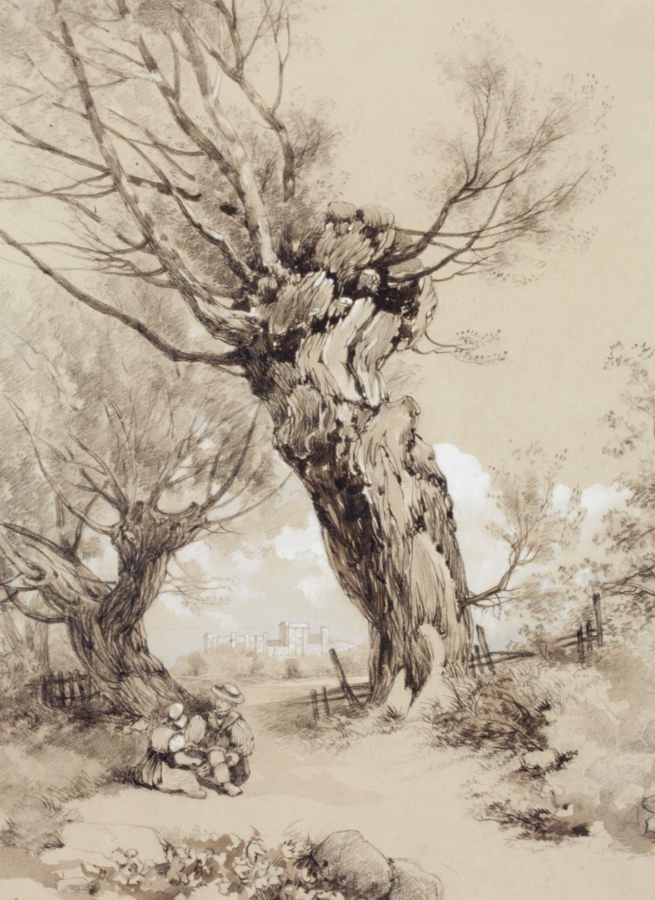 Paesaggio con figure sotto alberi potati a ceppo da James Duffield Harding
