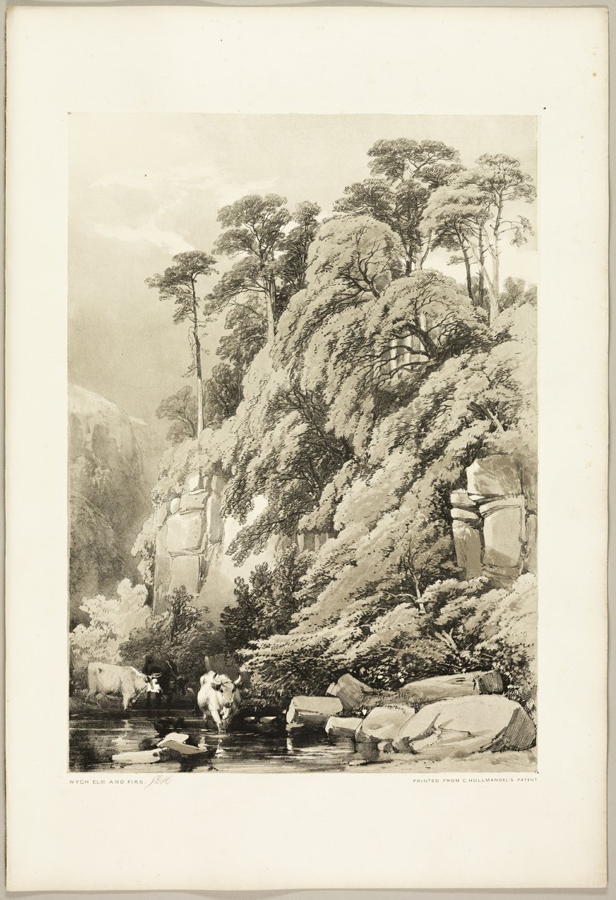 Olmo e Abeti, da Il Parco e la Foresta da James Duffield Harding