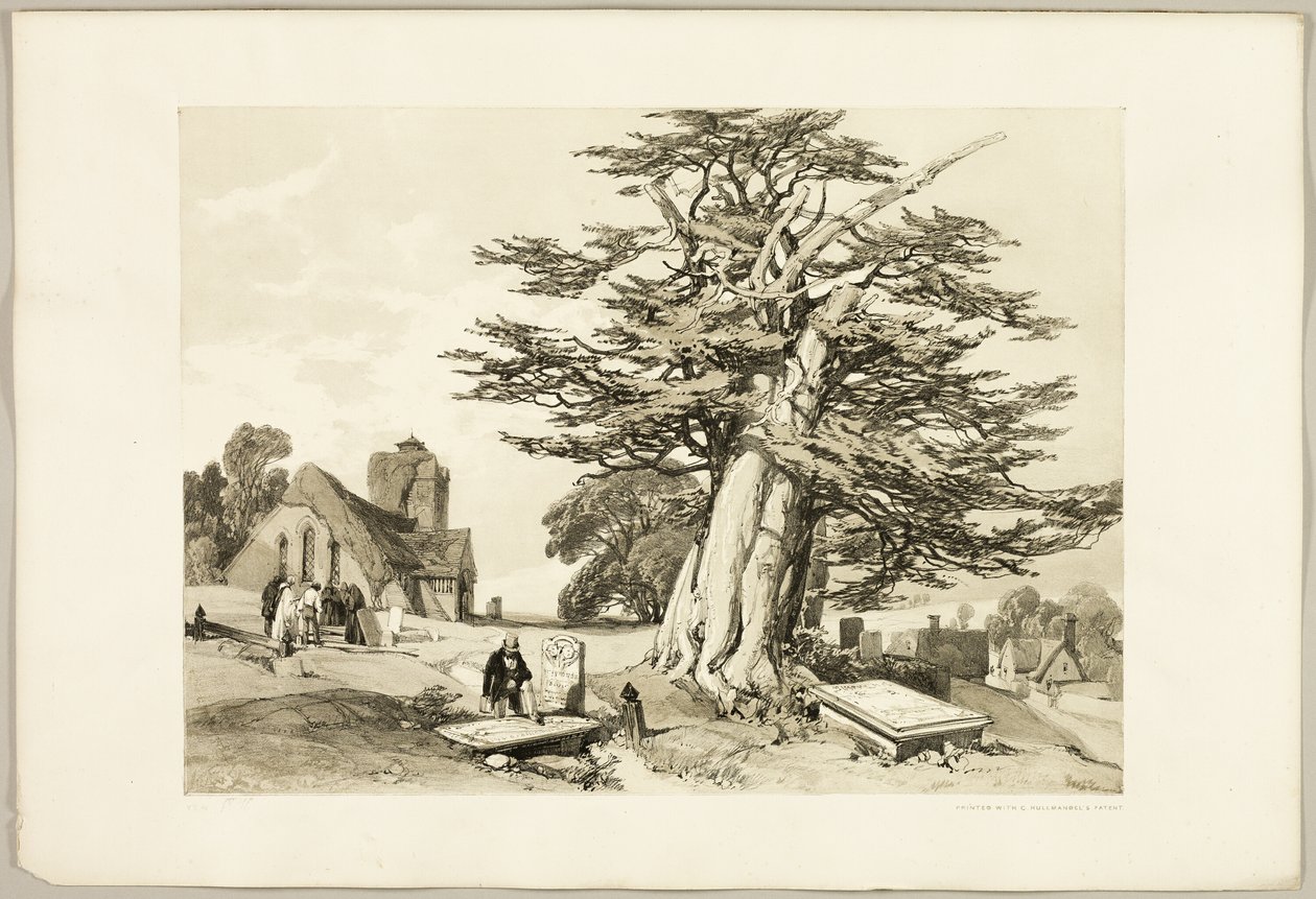 Tasso, da Il parco e la foresta da James Duffield Harding