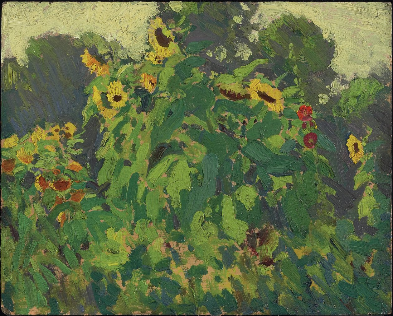 Girasoli, Thornhill, 1916 da James Edward Hervey Macdonald