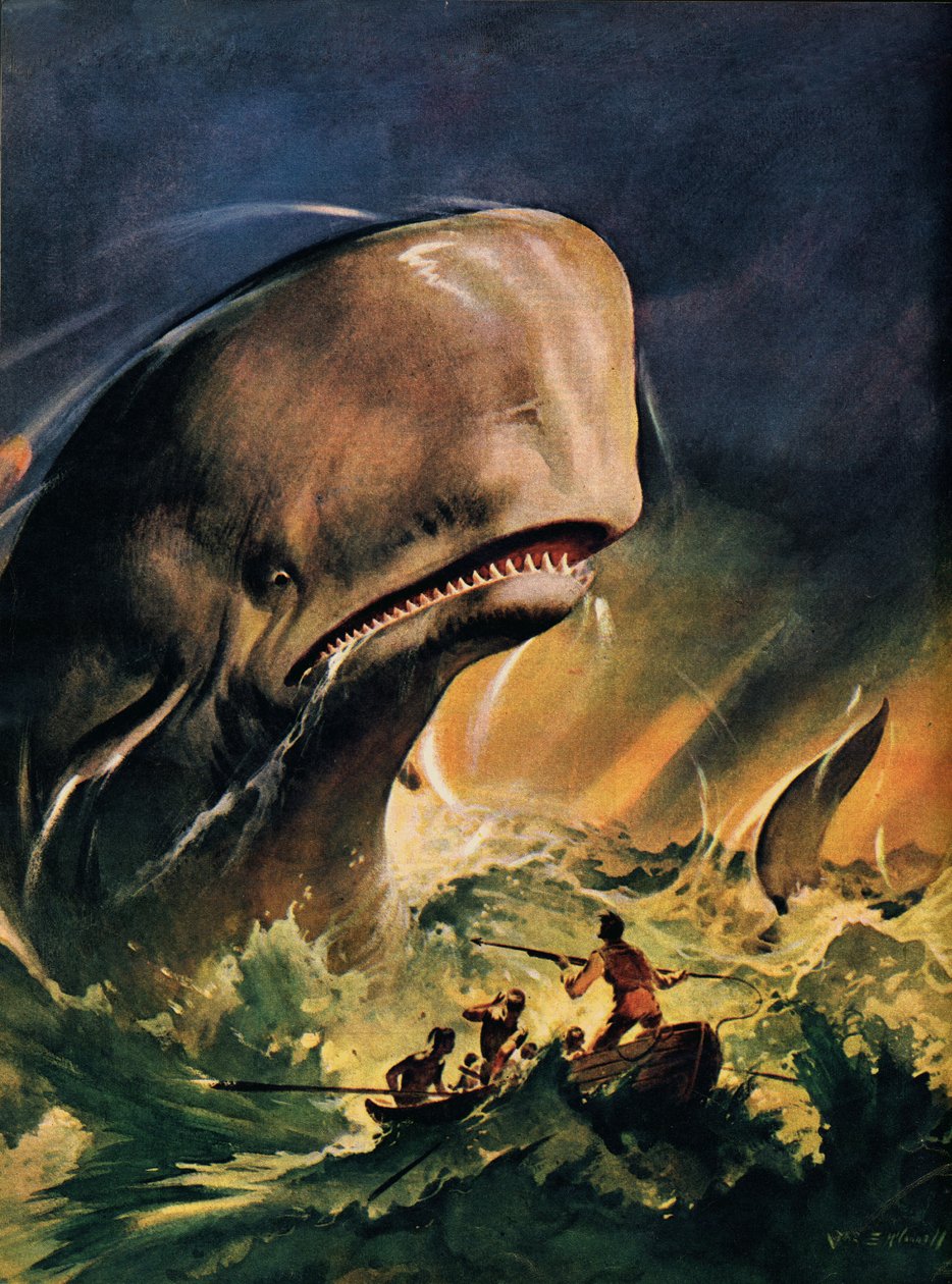 Moby Dick (litografia a colori) da James Edwin McConnell