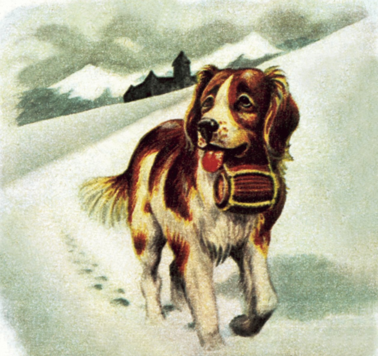 Cane San Bernardo da James Edwin McConnell