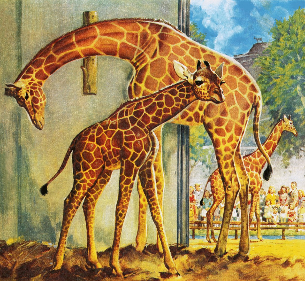 Virginia la giraffa da James Edwin McConnell