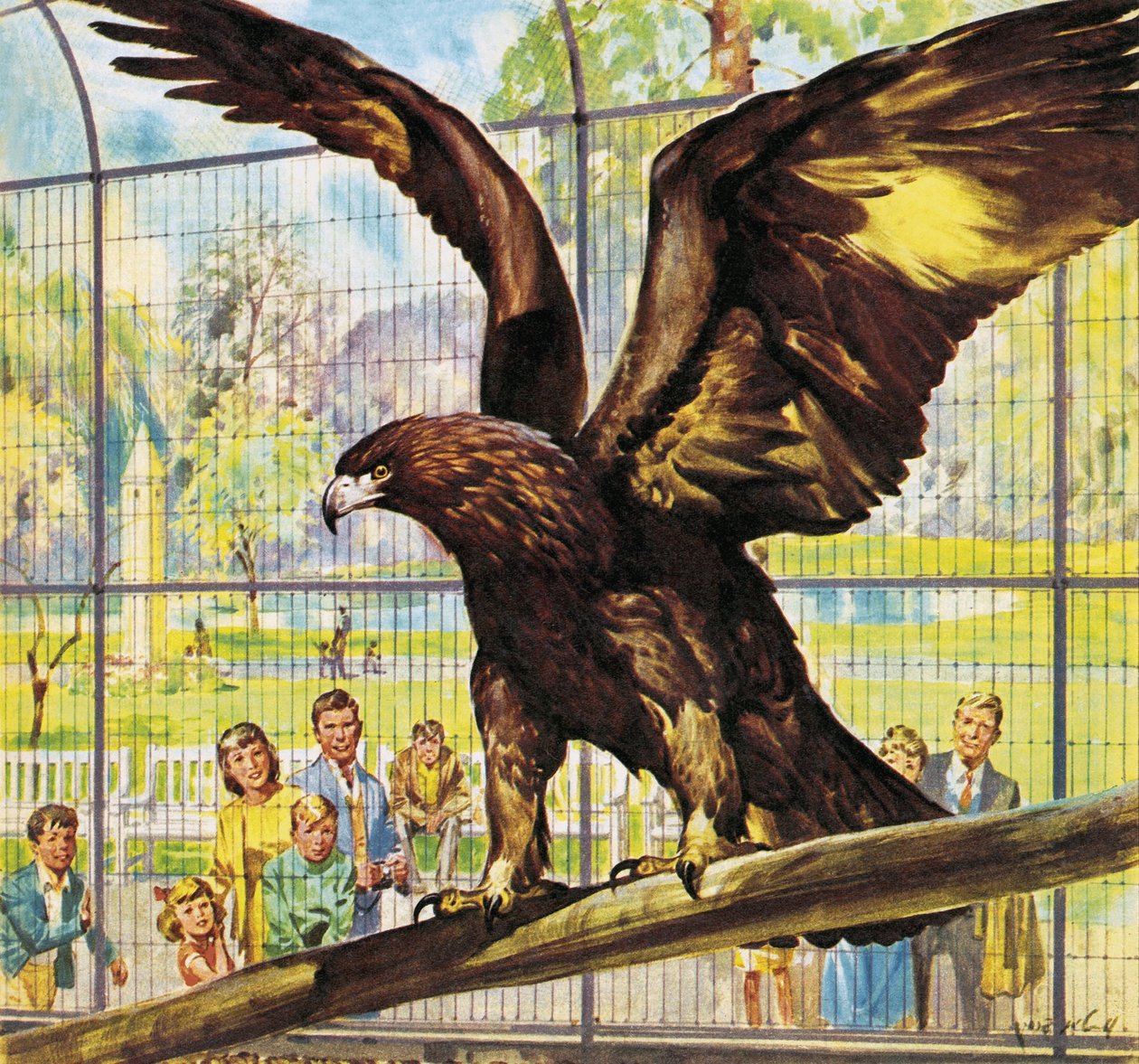 Chi è chi allo zoo: Goldie in volo da James Edwin McConnell