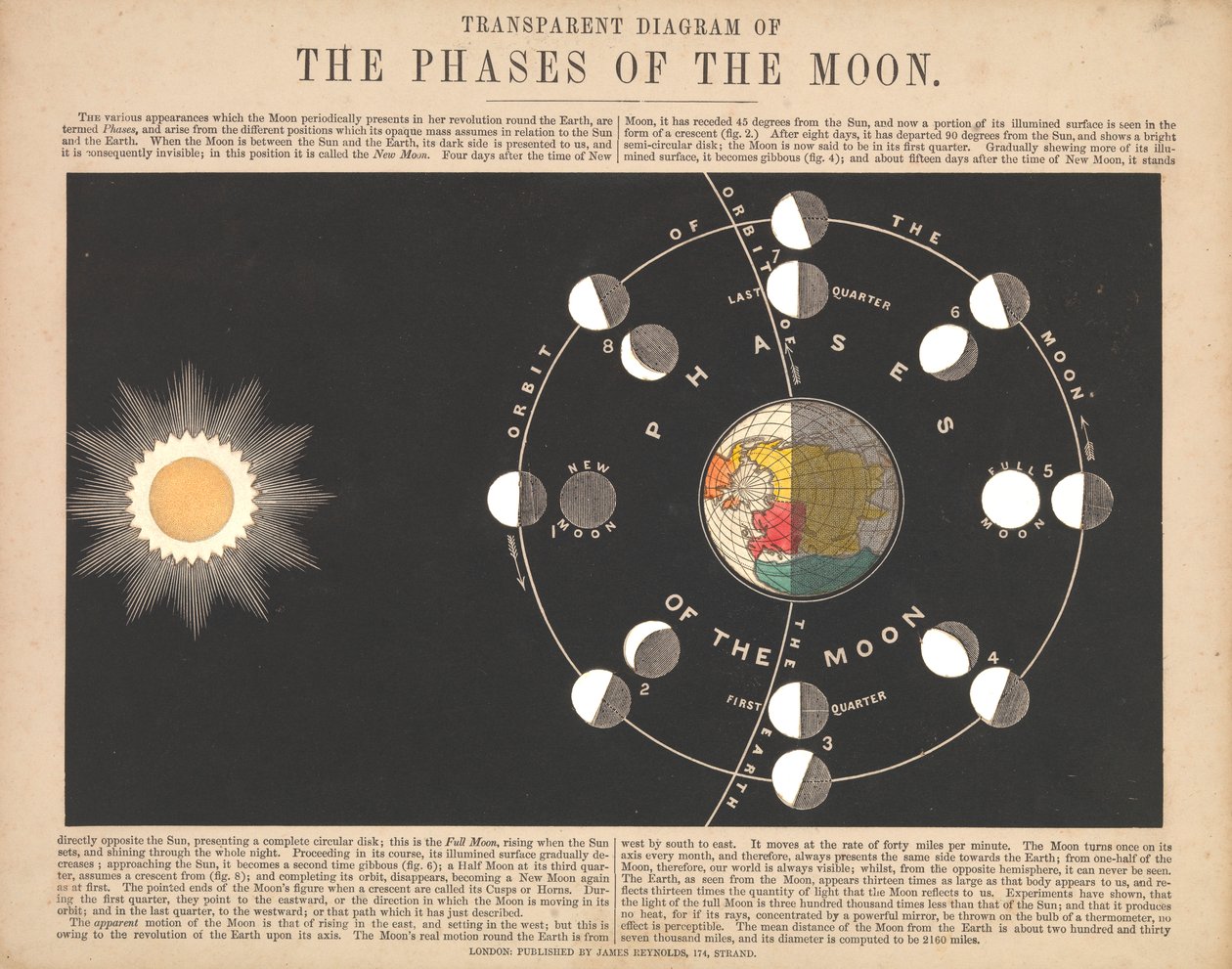 Diagramma trasparente delle fasi della luna da James & Emslie John (1813 75) Reynolds