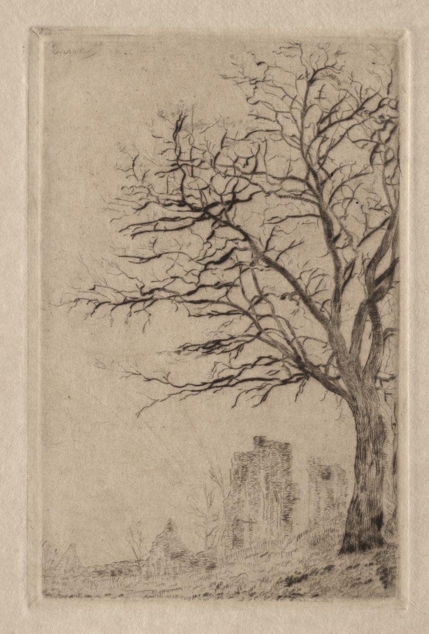 Acacia da James Ensor
