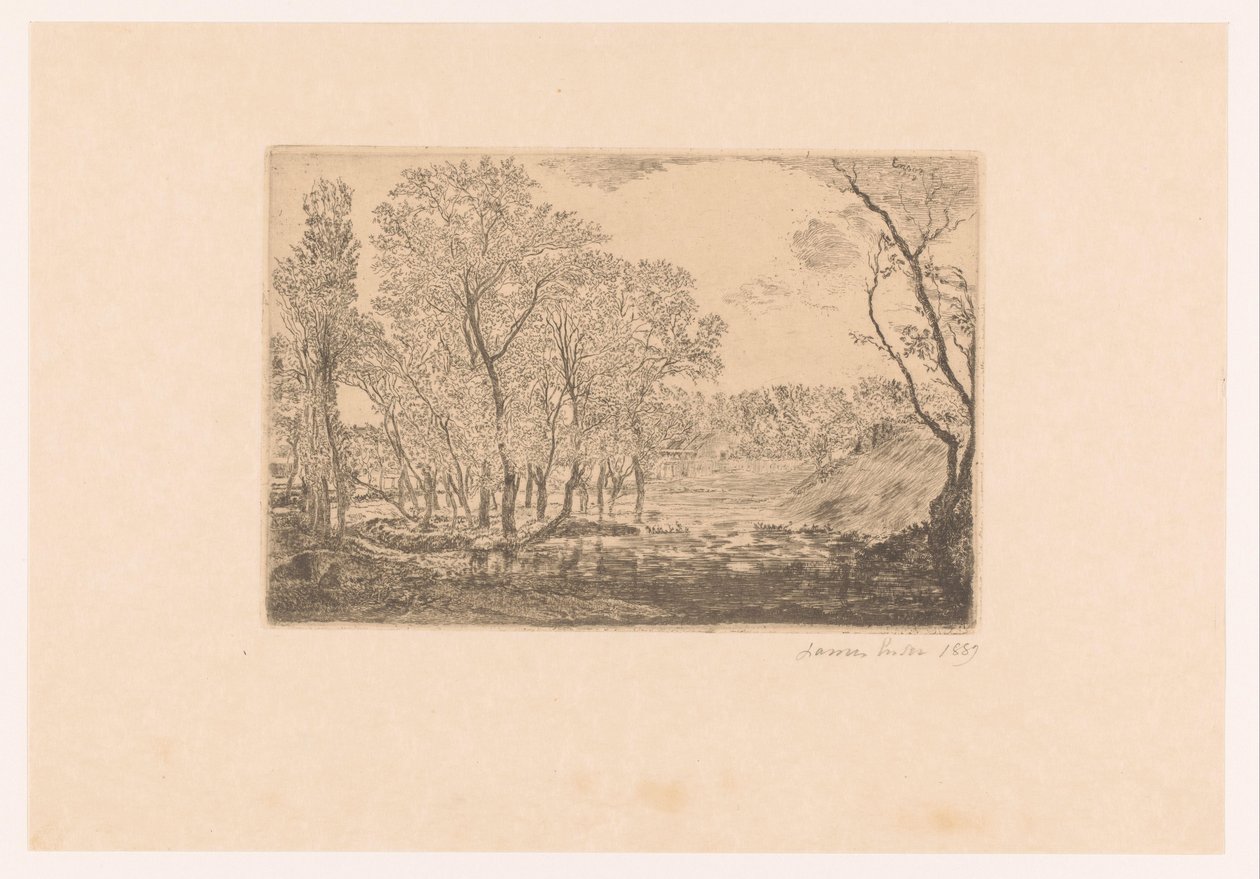 Paesaggio con pioppi sull