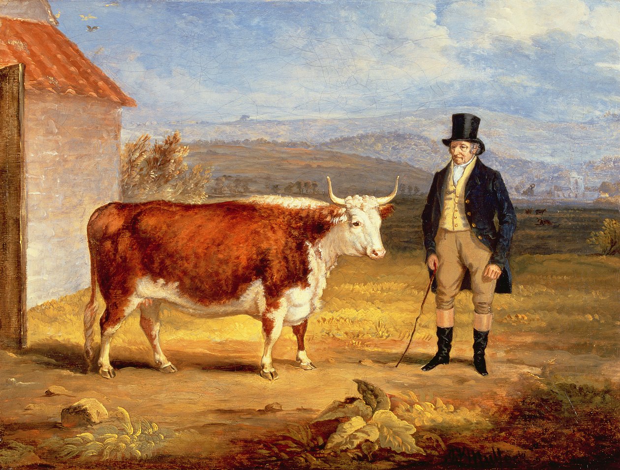 Il signor James Hodges e la sua giovenca Hereford di due anni, c.1843 da James Flewitt Mullock