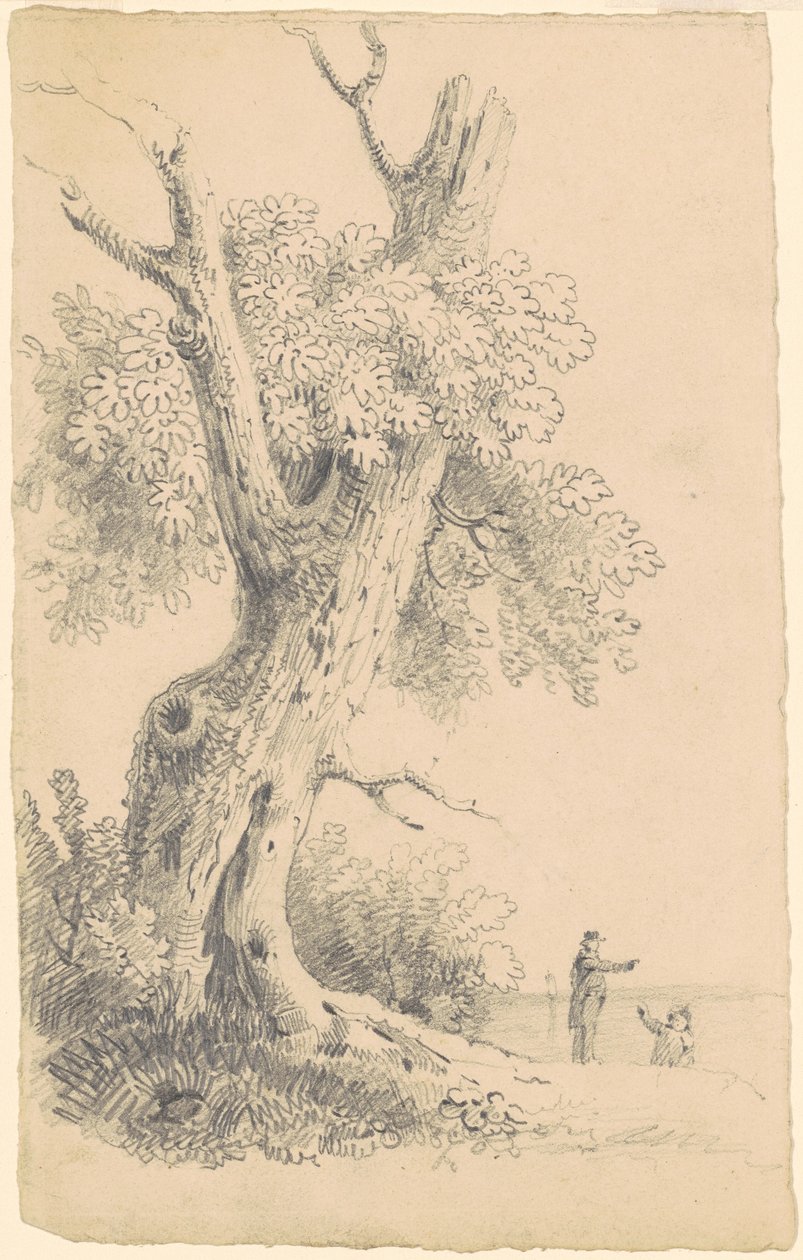 Albero vicino alla riva da James Goodwyn Clonney